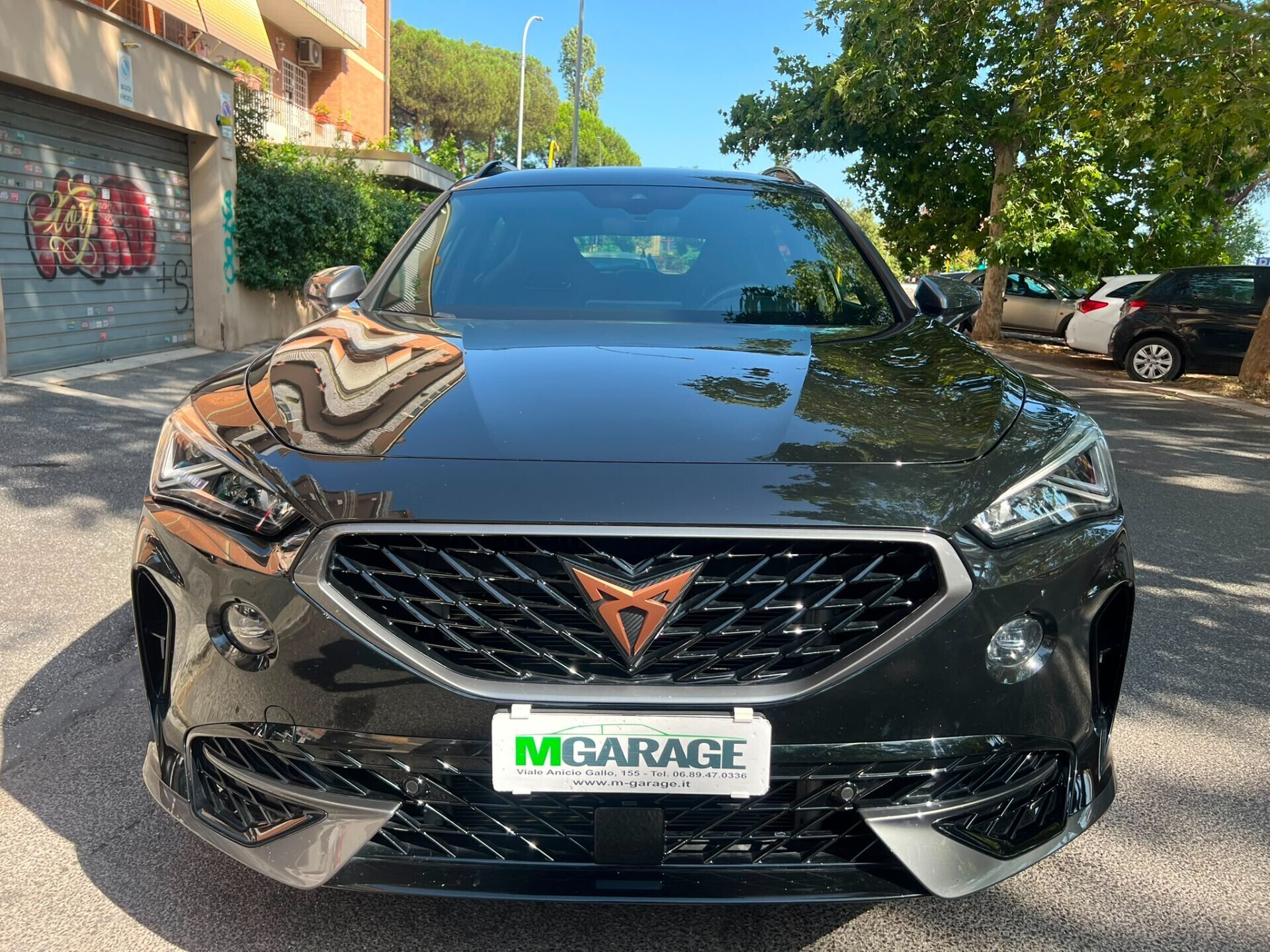 Cupra Formentor Formentor 2.0 TSI 4Drive DSG