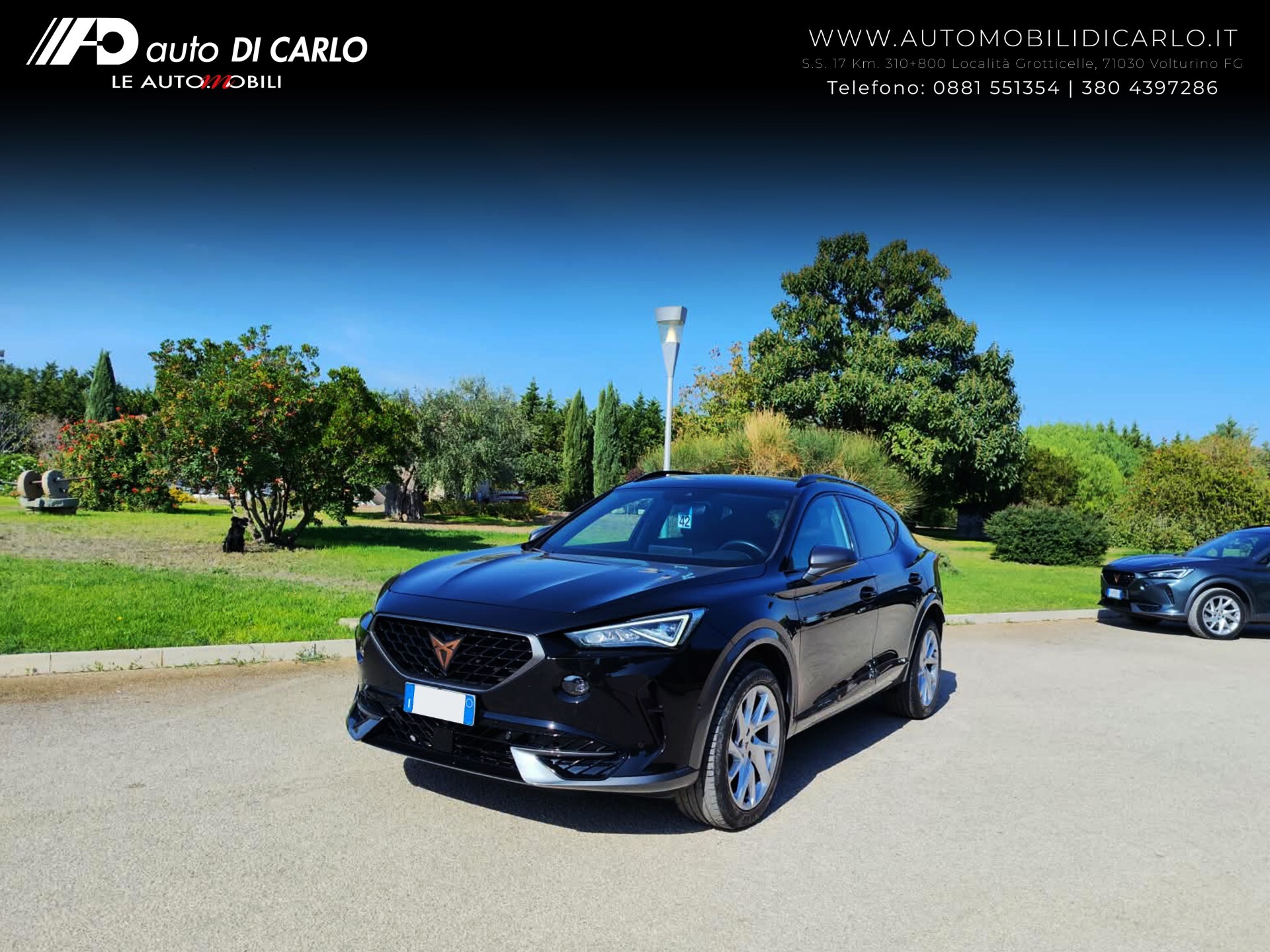 Cupra Formentor 2.0 TDI 4Drive DSG
