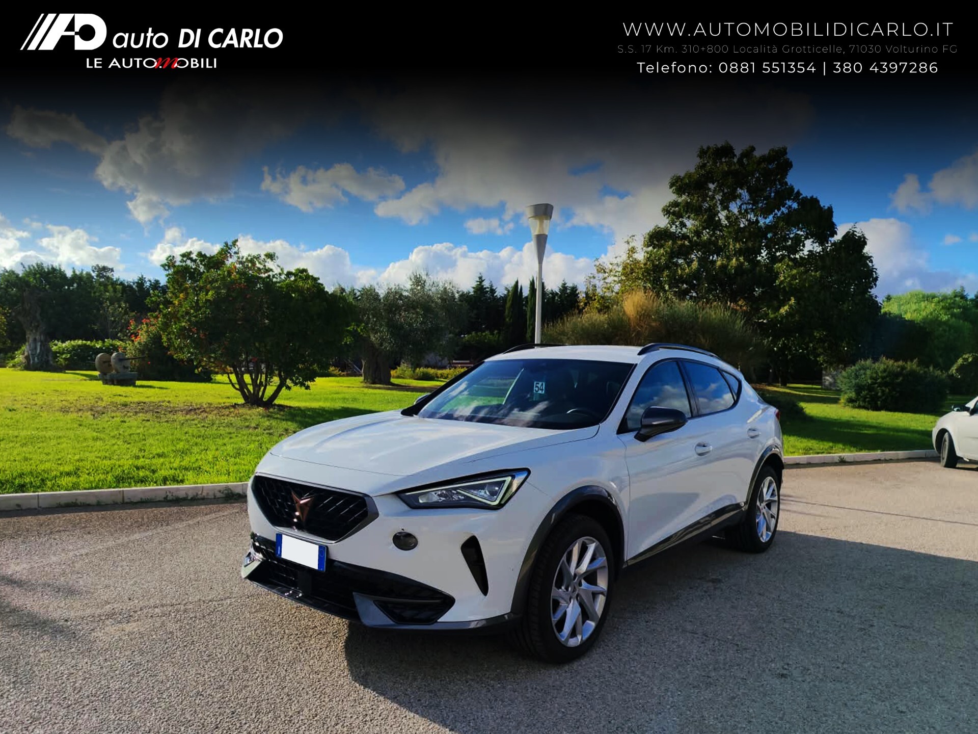 Cupra Formentor 2.0 TDI 4Drive DSG